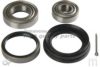 NISSA 40232B9500 Wheel Bearing Kit